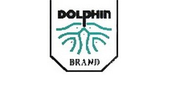 Dolpnin_logo