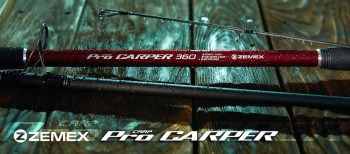 article_carper_081