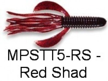 red_shad